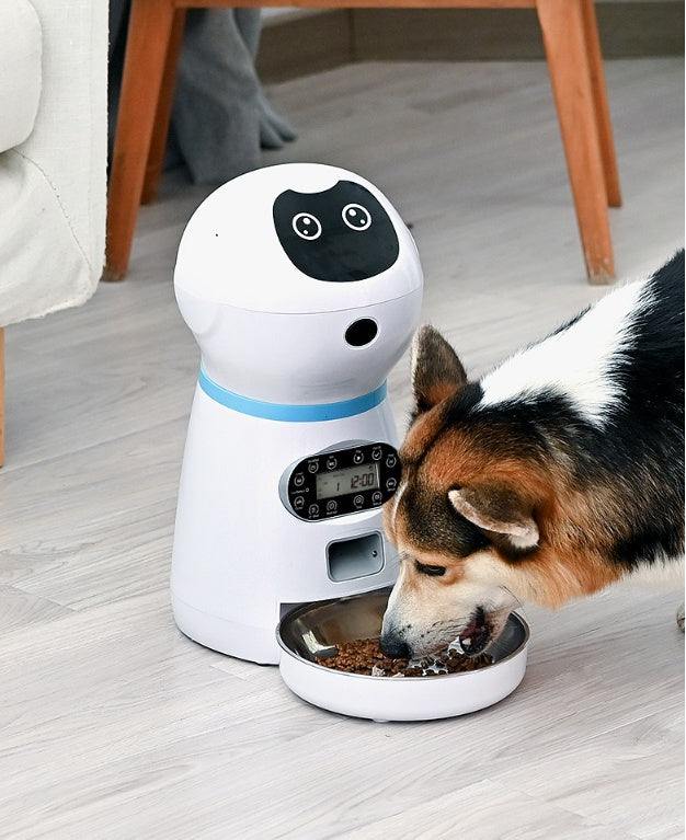 Automatic pet feeder with dog eating from metal food tray.