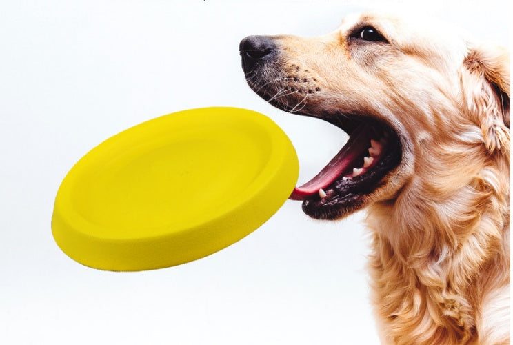 Yellow EVA dog throwing toy being caught by a dog.