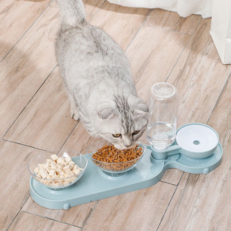 Automatic pet feeder with water dispenser for cats and small animals.