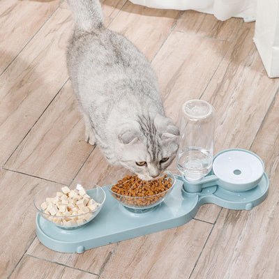 Automatic pet feeder with water dispenser for cats and small animals.