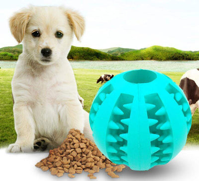 Rubber feeder dog ball toy for pets with treats, blue.