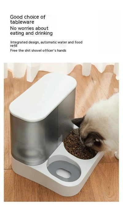 Visual Automatic Pet Feeder with integrated design for cats.