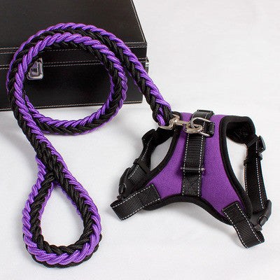 Purple nylon dog harness and leash set with high-quality buckle design.