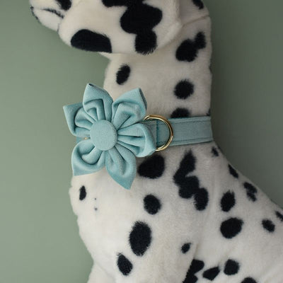 Lake Green Flannel Dog Collar with Gold Buckle and Flower Design