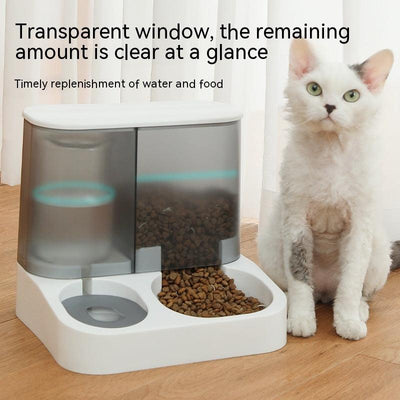 Visual Automatic Pet Feeder for Cats with Transparent Window in Gray.