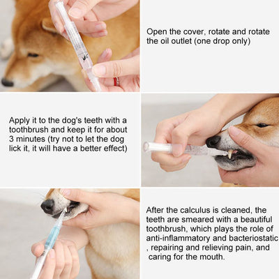 Pet Teeth Repairing Kit in use on a dog, with instructions shown for applying the tooth cleaning pen to ensure oral health.