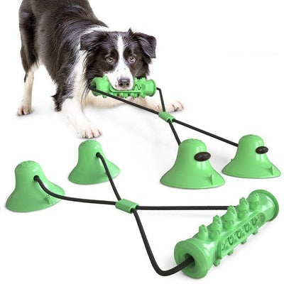 Dog using green suction cup molar chewing toy with high bumps and tooth-cleaning spikes.