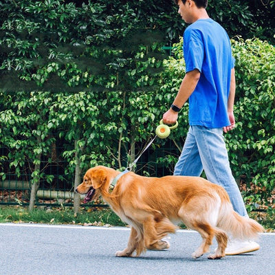 Man walking dog with Retractable Pet Reflective Leash on sidewalk.