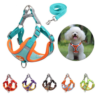 Adjustable cat harness vest with leash, reflective and breathable, available in various colors.