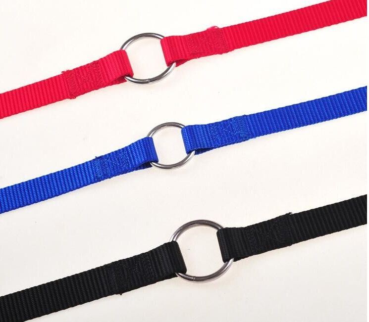 Various colors of Double Twin Lead pet walking leashes made of nylon.