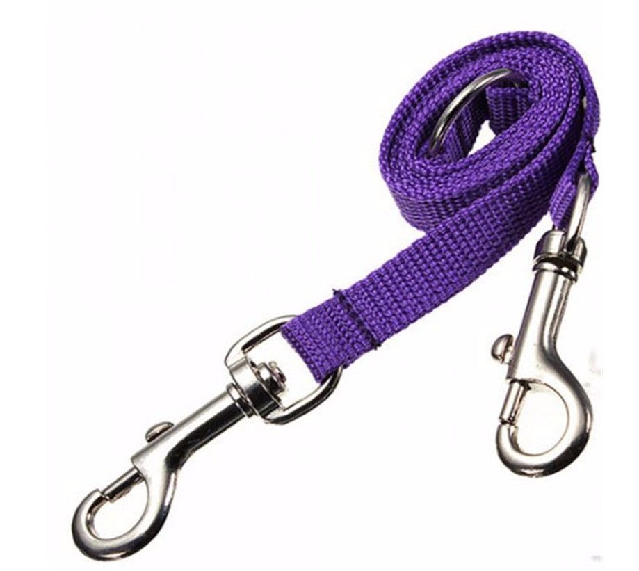 Purple double twin lead pet walking leash made of nylon.