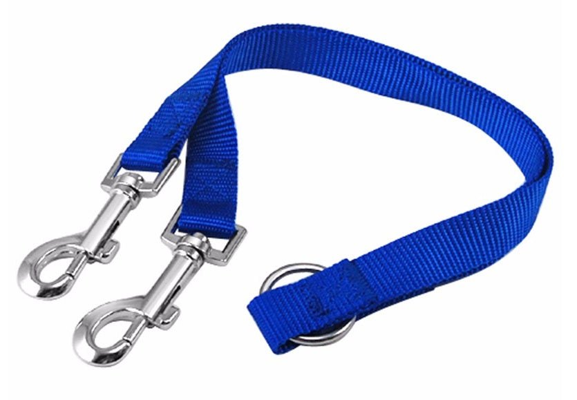 Blue nylon double twin lead pet walking leash with dual metal clasps.