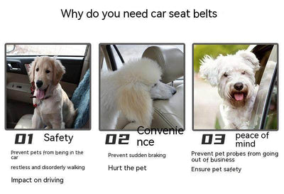 Pet retractable car seat belt infographic highlighting safety, convenience, and peace of mind for pet travel.