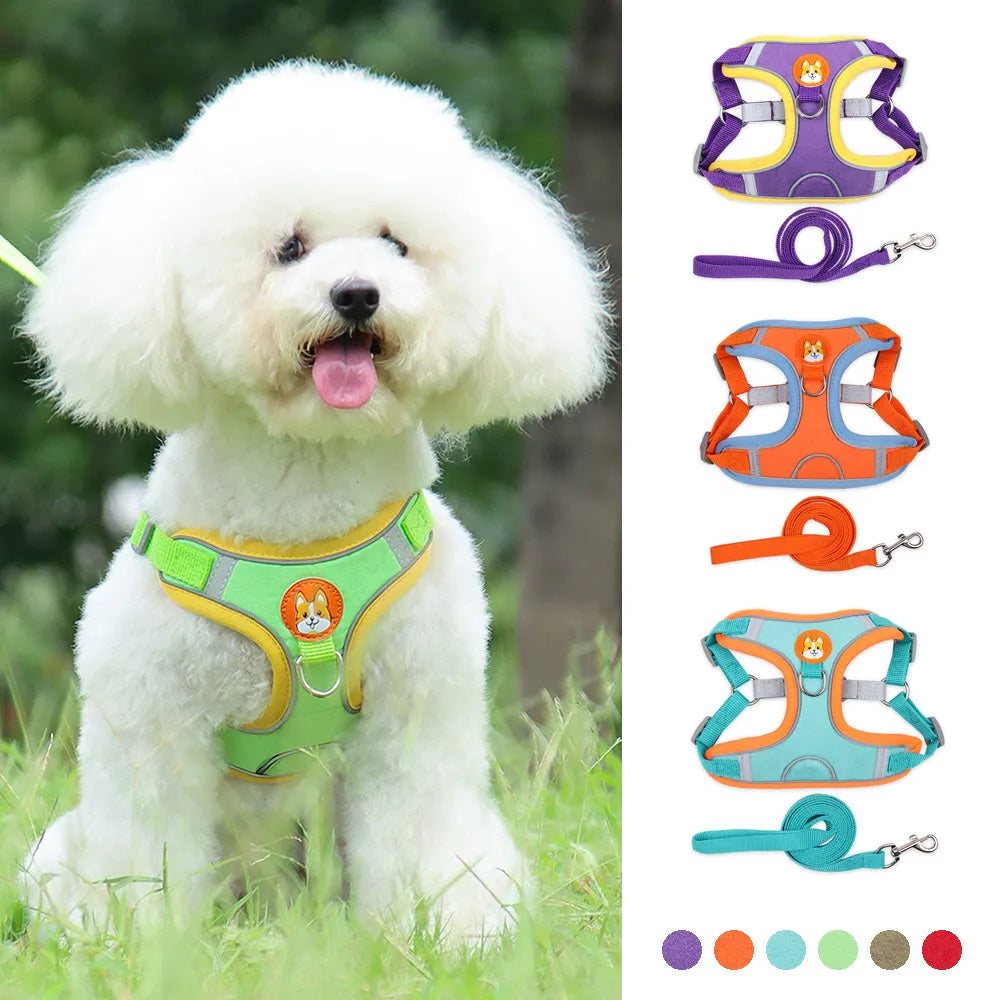 Adjustable cat harness vest with reflective strips in various colors, shown on a fluffy pet, featuring comfortable plaid design and safety leash options.