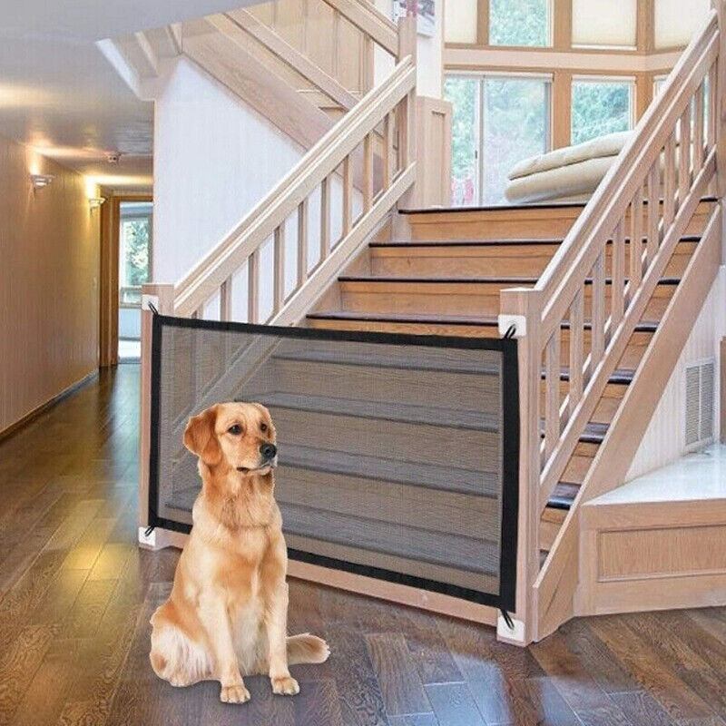 Pet isolation mesh safety fence in doorway with dog sitting nearby.