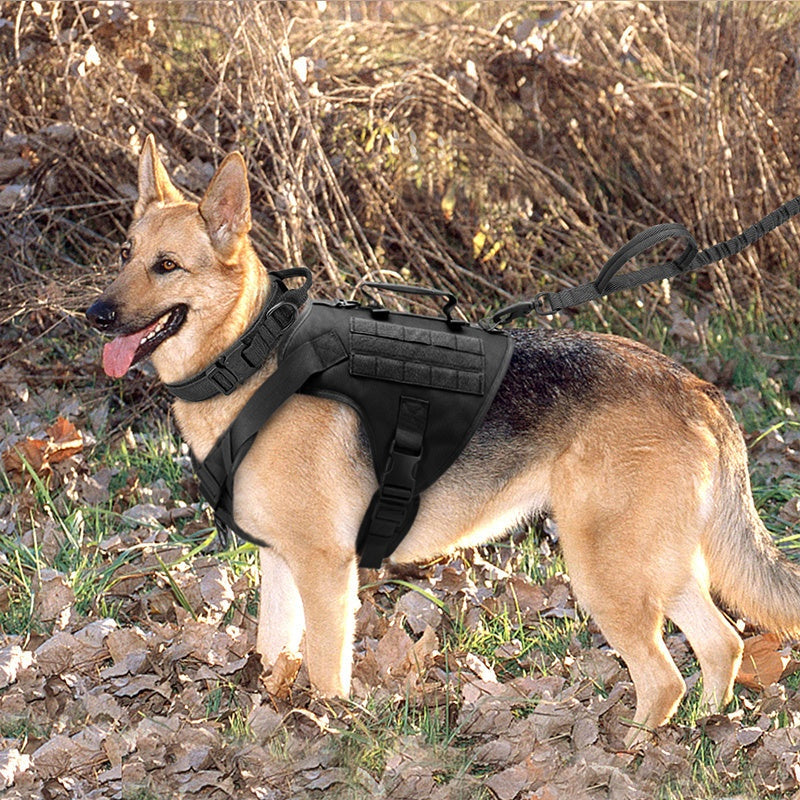 Tactics K9 Chest Harness Vest in wolf brown on a German Shepherd outdoors.